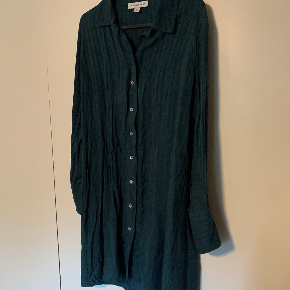 Amour Vert Cupro Shirt Dress